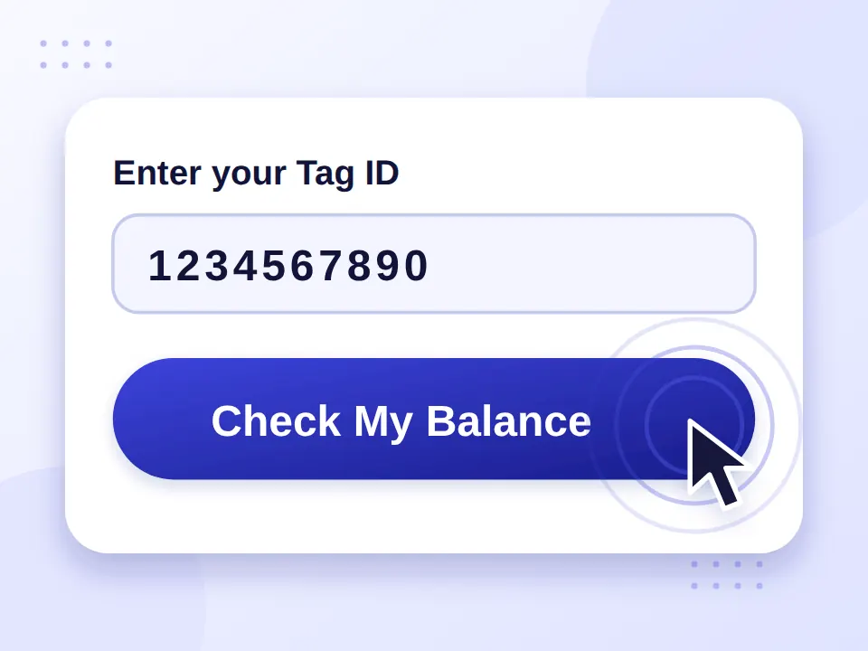 Home 8 Clicking the Check My Balance button