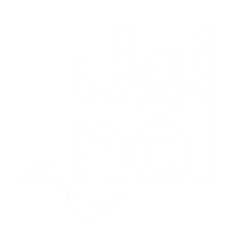 NOL card balance check website logo